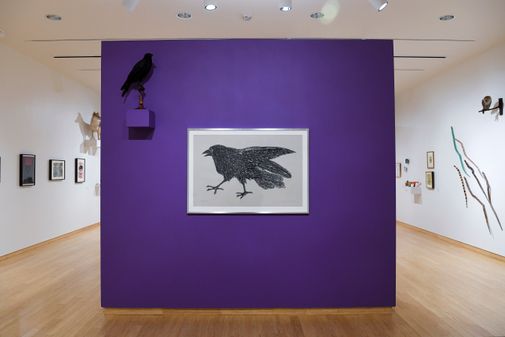 Marie Watt / Diversi Animali / Femfolio exhibition in the McGee galler. An illustration of a black crow against a purple wall